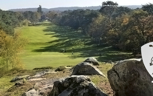 Golf de Fontainebleau - Sortie amicale