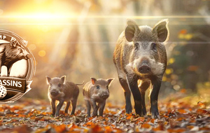 UCUP Hiver - Inscription au groupe pour la compétition