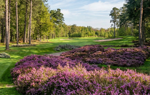 Golf du Champ de Bataille